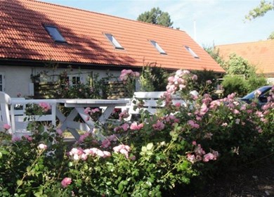 sommerhus sejerø_121-90-4550