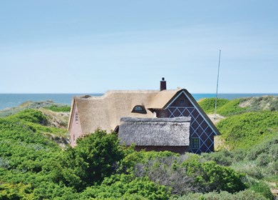 Sommerhus Blokhus_160-D7330